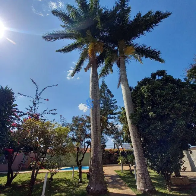 Chácara com 1 quarto à venda, 900m2 em Jardim Vale Verde, Londrina - PR - imagem 7 Foto 7 de Chácara com 1 quarto à venda, 900m2 em Jardim Vale Verde, Londrina - PR