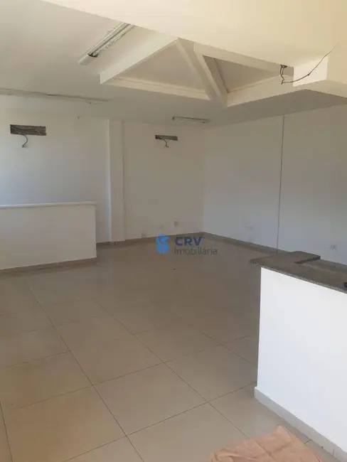 Foto 5 de Casa para alugar, 450m2 em Jardim Presidente, Londrina - PR