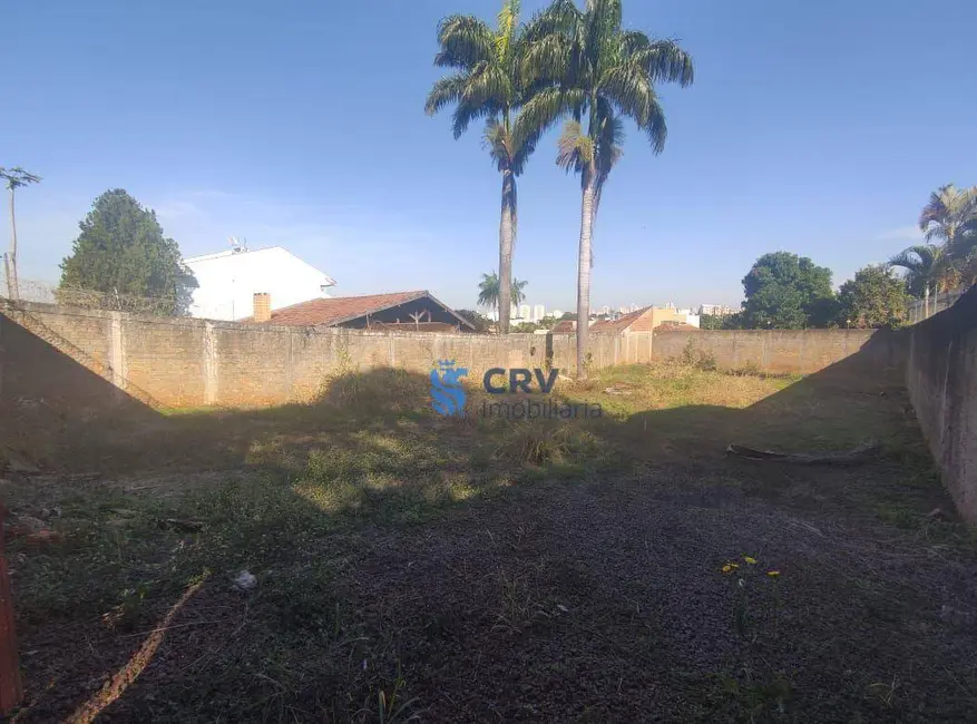 Foto 4 de Terreno / Lote para alugar, 525m2 em Dom Pedro, Londrina - PR