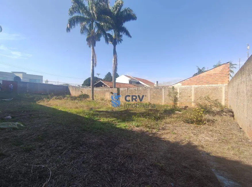 Foto 1 de Terreno / Lote para alugar, 525m2 em Dom Pedro, Londrina - PR