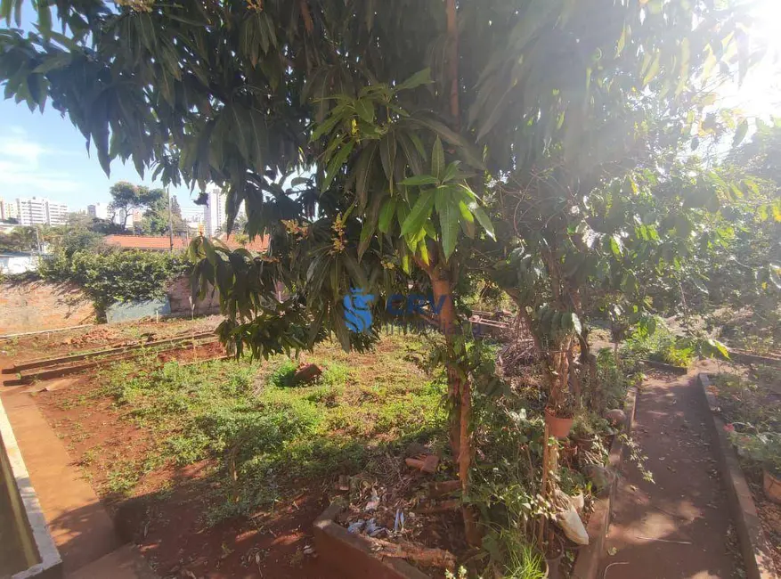 Terreno / Lote à venda, 525m2 em Dom Pedro, Londrina - PR - imagem 3 Foto 3 de Terreno / Lote à venda, 525m2 em Dom Pedro, Londrina - PR