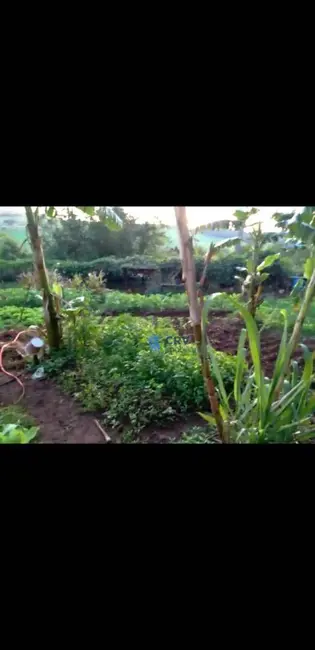 Sítio / Rancho à venda, 168975m2 em Jardim Bandeirantes, Arapongas - PR - imagem 5 Foto 5 de Sítio / Rancho à venda, 168975m2 em Jardim Bandeirantes, Arapongas - PR