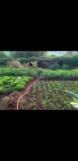 Sítio / Rancho à venda, 168975m2 em Jardim Bandeirantes, Arapongas - PR - imagem 6 Foto 6 de Sítio / Rancho à venda, 168975m2 em Jardim Bandeirantes, Arapongas - PR