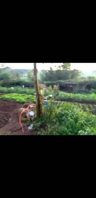 Sítio / Rancho à venda, 168975m2 em Jardim Bandeirantes, Arapongas - PR - imagem 3 Foto 3 de Sítio / Rancho à venda, 168975m2 em Jardim Bandeirantes, Arapongas - PR