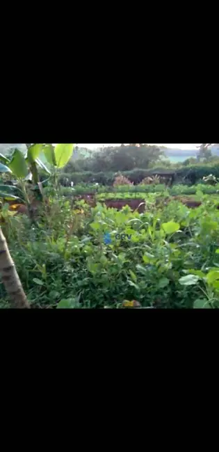 Sítio / Rancho à venda, 168975m2 em Jardim Bandeirantes, Arapongas - PR - imagem 4 Foto 4 de Sítio / Rancho à venda, 168975m2 em Jardim Bandeirantes, Arapongas - PR