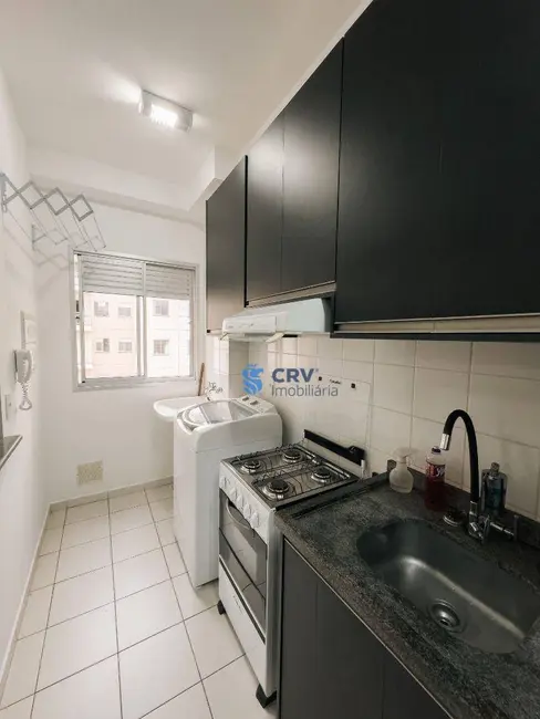 Apartamento com 2 quartos para alugar em Terra Bonita, Londrina - PR - imagem 6 Foto 6 de Apartamento com 2 quartos para alugar em Terra Bonita, Londrina - PR