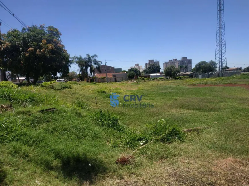 Terreno / Lote à venda, 3000m2 em Santiago, Londrina - PR - imagem 3 Foto 3 de Terreno / Lote à venda, 3000m2 em Santiago, Londrina - PR