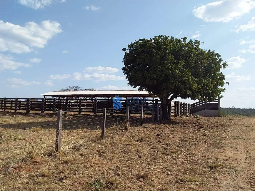 Foto 4 de Fazenda / Haras à venda, 16777215m2 em Itiquira - MT