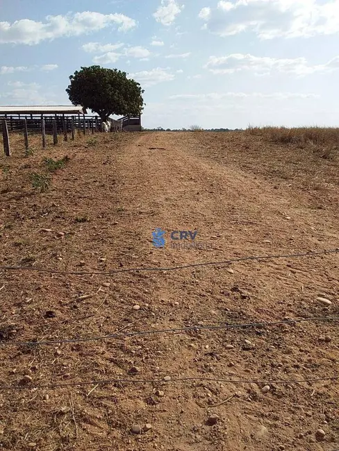 Foto 3 de Fazenda / Haras à venda, 16777215m2 em Itiquira - MT