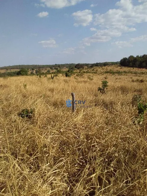 Foto 5 de Fazenda / Haras à venda, 16777215m2 em Itiquira - MT