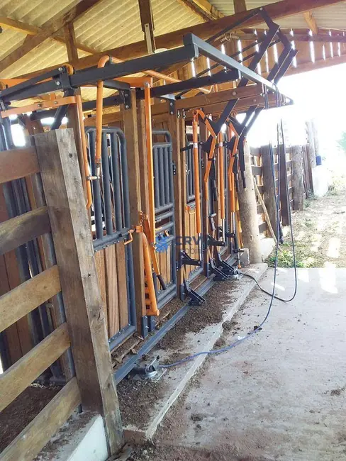 Foto 2 de Fazenda / Haras à venda, 16777215m2 em Itiquira - MT