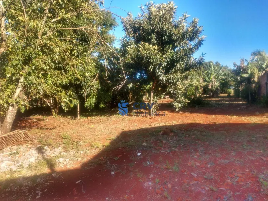 Chácara com 3 quartos à venda, 3300m2 em Cambe - PR - imagem 1 Foto 1 de Chácara com 3 quartos à venda, 3300m2 em Cambe - PR