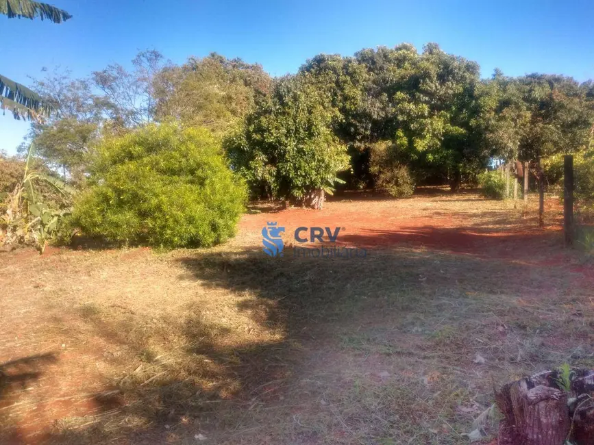 Chácara com 3 quartos à venda, 3300m2 em Cambe - PR - imagem 4 Foto 4 de Chácara com 3 quartos à venda, 3300m2 em Cambe - PR