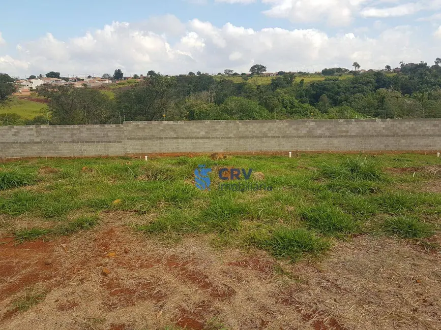 Terreno / Lote à venda, 266m2 em Jardim Morumbi, Londrina - PR - imagem 9 Foto 9 de Terreno / Lote à venda, 266m2 em Jardim Morumbi, Londrina - PR