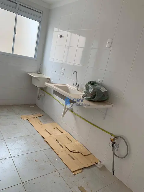 Foto 8 de Apartamento com 2 quartos para alugar, 52m2 em Londrina - PR