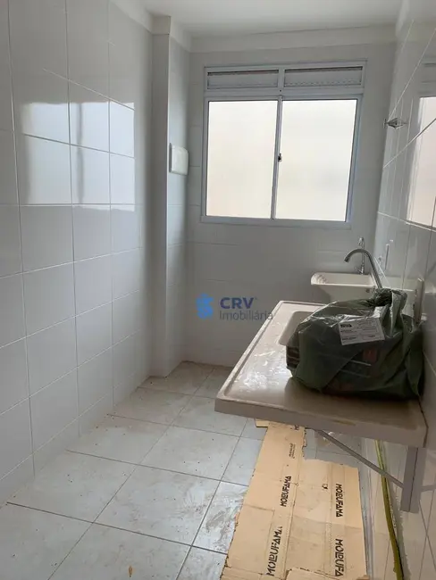 Foto 5 de Apartamento com 2 quartos para alugar, 52m2 em Londrina - PR