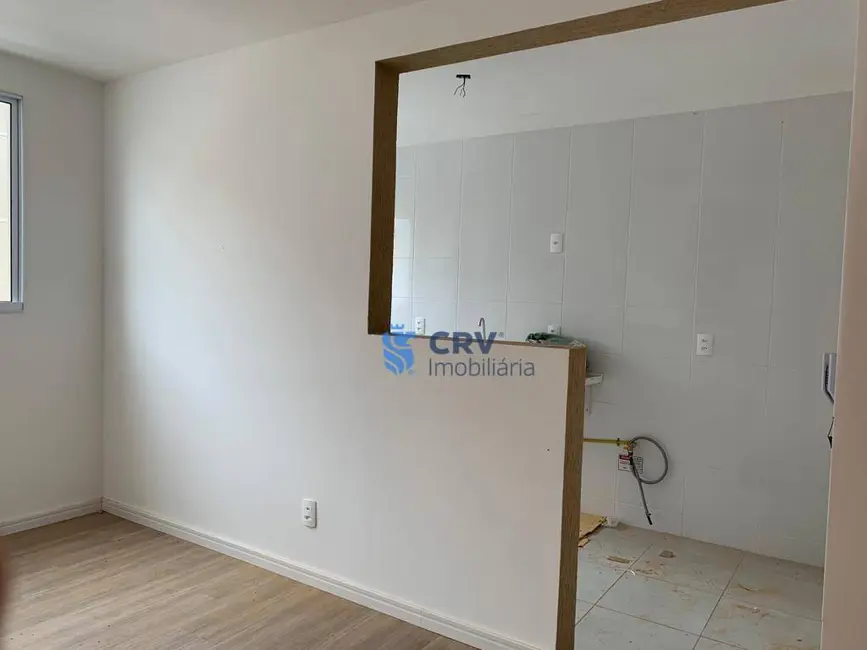 Foto 1 de Apartamento com 2 quartos para alugar, 52m2 em Londrina - PR