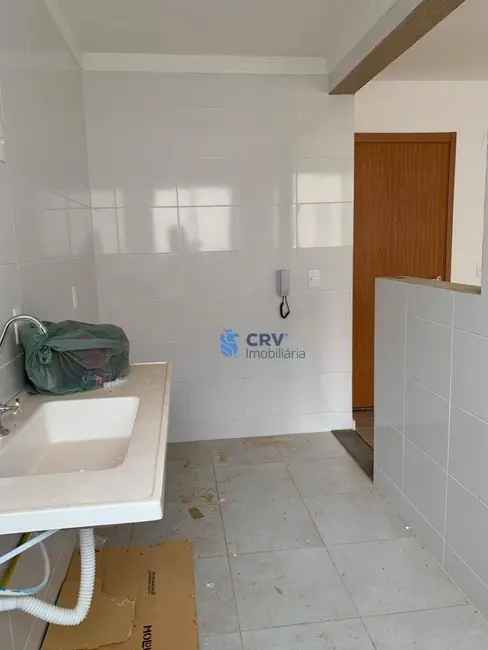 Foto 7 de Apartamento com 2 quartos para alugar, 52m2 em Londrina - PR