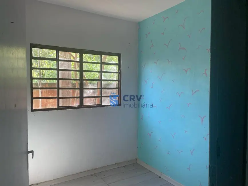 Foto 2 de Chácara com 2 quartos à venda, 10000m2 em Ibipora - PR