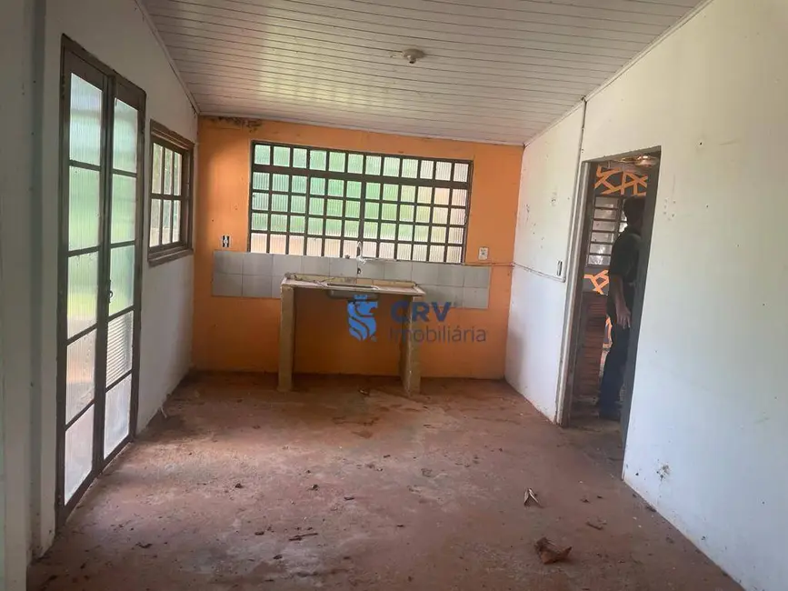 Foto 4 de Chácara com 2 quartos à venda, 10000m2 em Ibipora - PR