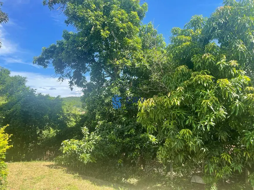 Foto 7 de Chácara com 2 quartos à venda, 10000m2 em Ibipora - PR