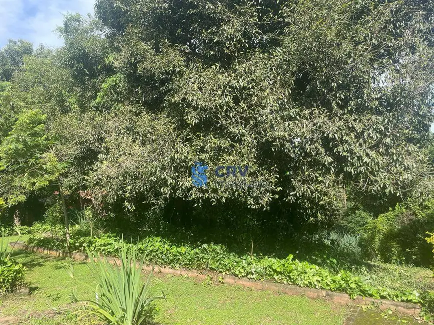 Foto 8 de Chácara com 2 quartos à venda, 10000m2 em Ibipora - PR