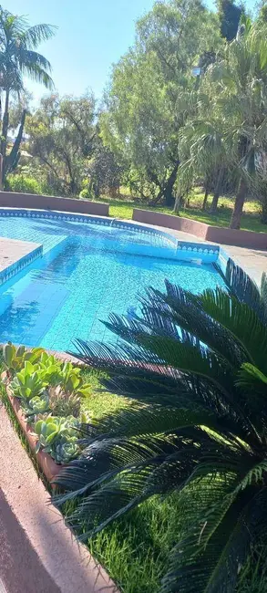 Foto 4 de Chácara com 3 quartos à venda, 4576m2 em Dom Pedro I, Londrina - PR