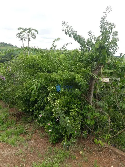 Foto 9 de Chácara à venda, 5055m2 em Ibipora - PR