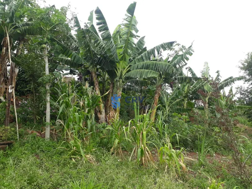 Foto 4 de Chácara à venda, 5055m2 em Ibipora - PR