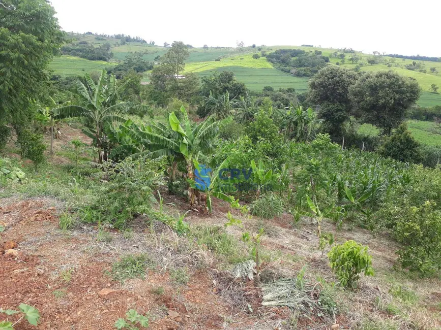 Foto 6 de Chácara à venda, 5055m2 em Ibipora - PR