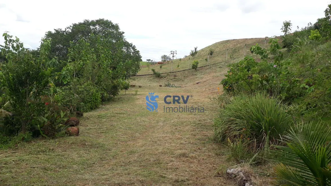 Foto 1 de Chácara à venda, 5055m2 em Ibipora - PR