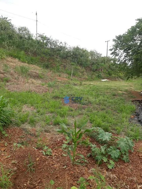 Foto 5 de Chácara à venda, 5055m2 em Ibipora - PR