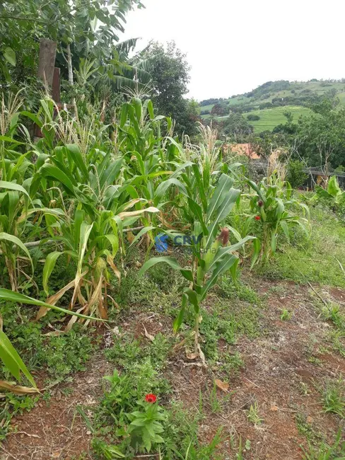 Foto 7 de Chácara à venda, 5055m2 em Ibipora - PR