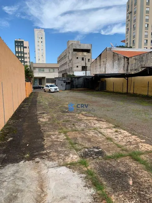 Foto 4 de Terreno / Lote para alugar, 620m2 em Centro, Londrina - PR
