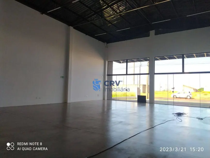 Foto 3 de Armazém / Galpão para alugar, 150m2 em Jardim Padovani, Londrina - PR