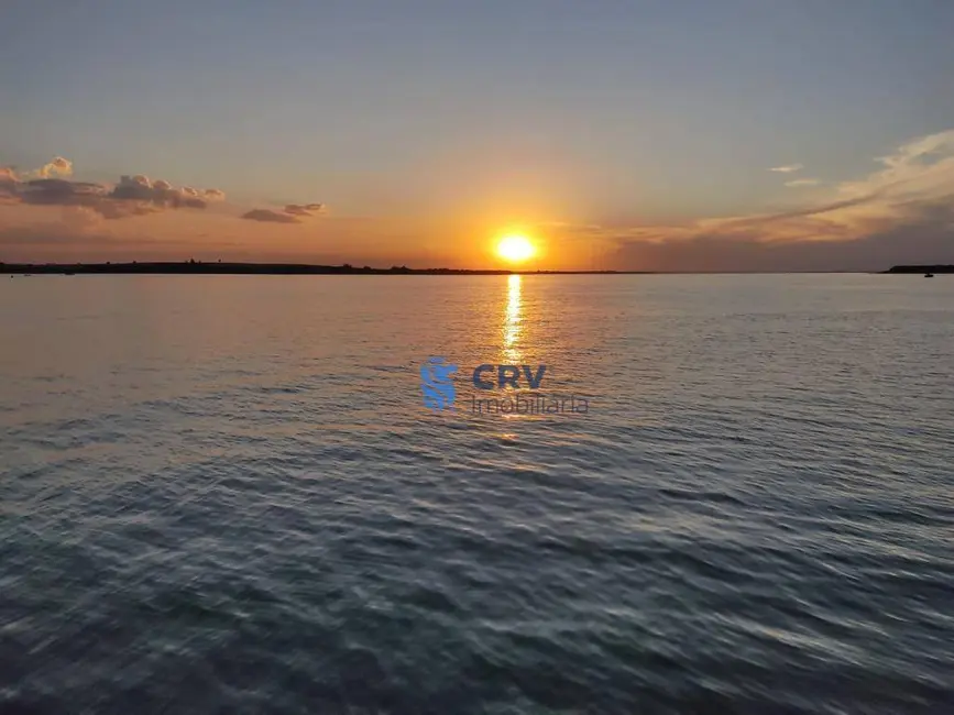 Foto 16 de Chácara à venda, 902m2 em Sertaneja - PR