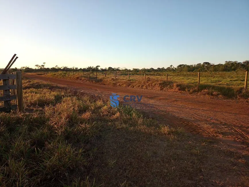 Fazenda / Haras à venda, 16777215m2 em Vilhena - RO - imagem 3 Foto 3 de Fazenda / Haras à venda, 16777215m2 em Vilhena - RO