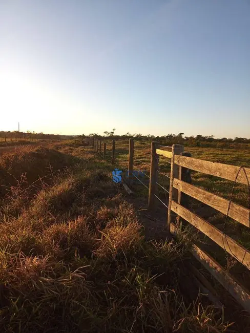 Fazenda / Haras à venda, 16777215m2 em Vilhena - RO - imagem 2 Foto 2 de Fazenda / Haras à venda, 16777215m2 em Vilhena - RO
