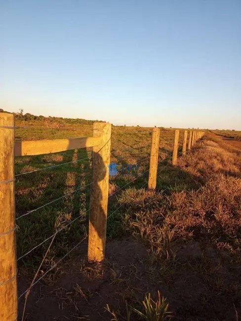 Fazenda / Haras à venda, 16777215m2 em Vilhena - RO - imagem 4 Foto 4 de Fazenda / Haras à venda, 16777215m2 em Vilhena - RO