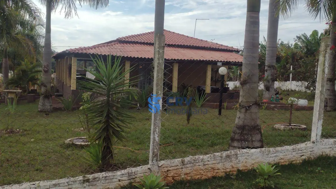 Chácara com 2 quartos à venda, 2000m2 em Cambe - PR - imagem 7 Foto 7 de Chácara com 2 quartos à venda, 2000m2 em Cambe - PR