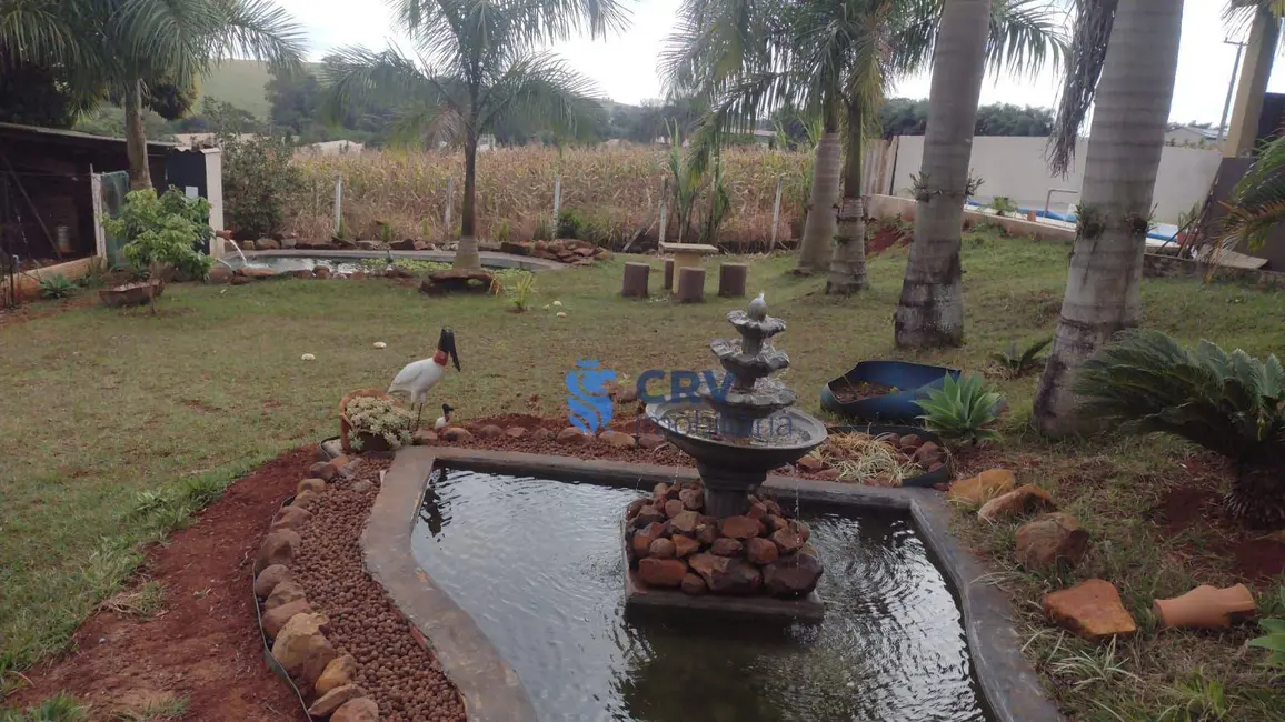 Chácara com 2 quartos à venda, 2000m2 em Cambe - PR - imagem 5 Foto 5 de Chácara com 2 quartos à venda, 2000m2 em Cambe - PR