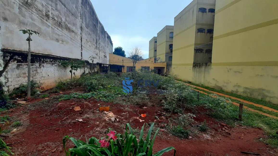Terreno / Lote à venda, 787m2 em Vila Ziober, Londrina - PR - imagem 4 Foto 4 de Terreno / Lote à venda, 787m2 em Vila Ziober, Londrina - PR