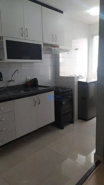 Apartamento com 3 quartos à venda, 69m2 em Aurora, Londrina - PR - imagem 4 Foto 4 de Apartamento com 3 quartos à venda, 69m2 em Aurora, Londrina - PR