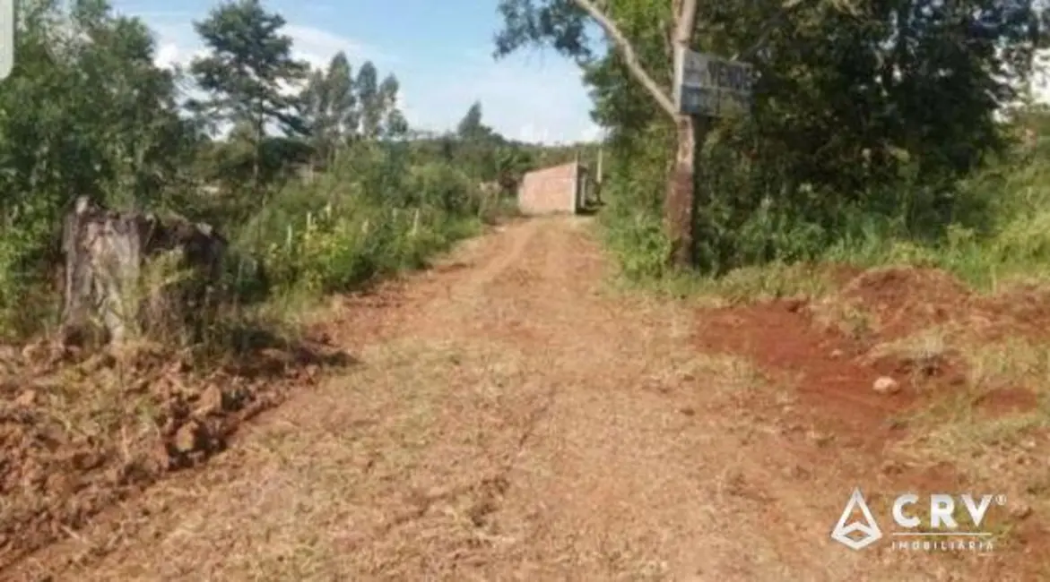 Foto 3 de Terreno / Lote à venda, 4250m2 em Centro, Jataizinho - PR