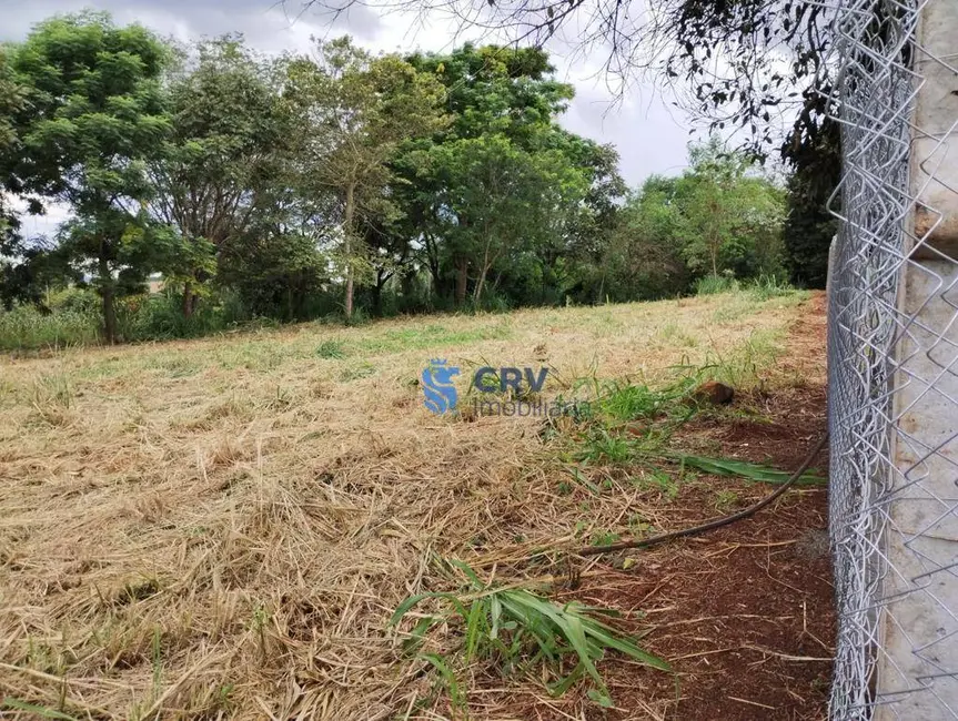 Foto 3 de Chácara à venda, 5000m2 em Ibipora - PR