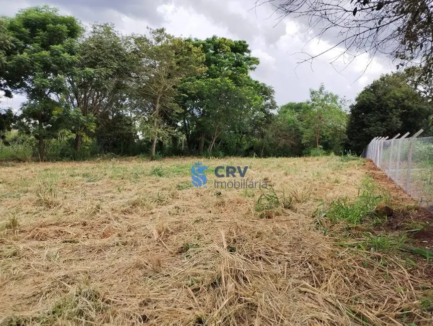 Foto 2 de Chácara à venda, 5000m2 em Ibipora - PR