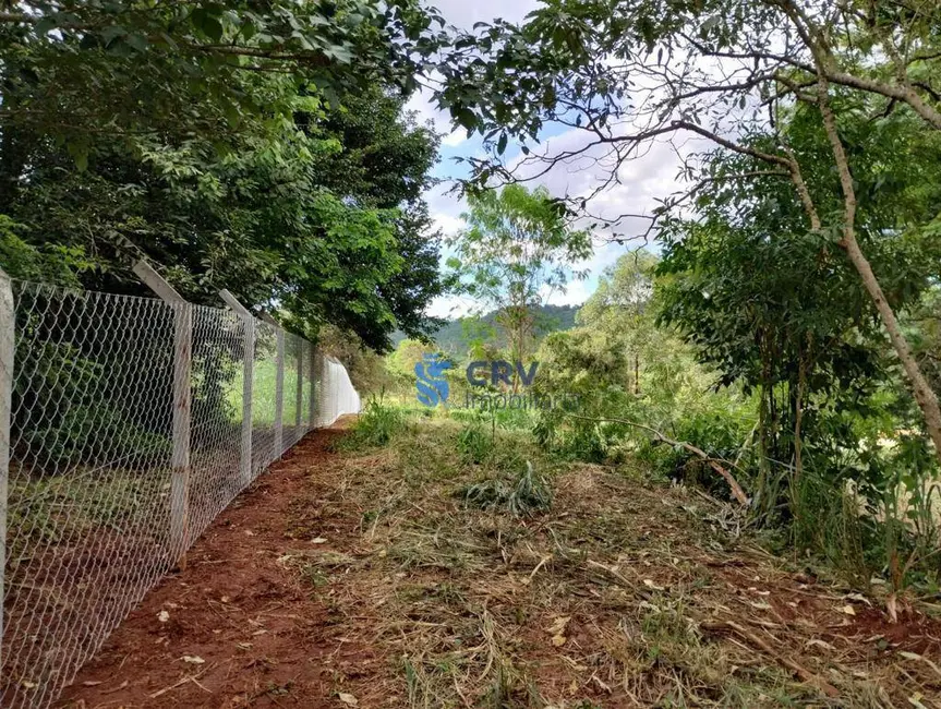Foto 5 de Chácara à venda, 5000m2 em Ibipora - PR