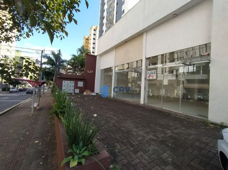 Foto 3 de Sala Comercial para alugar, 150m2 em Centro, Londrina - PR
