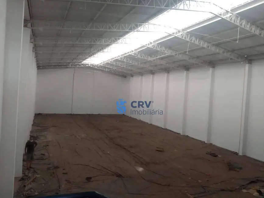 Foto 6 de Armazém / Galpão para alugar, 1000m2 em Parque Comercial Quati, Londrina - PR