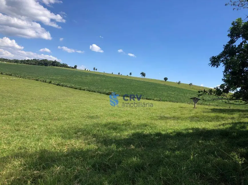 Foto 3 de Fazenda / Haras à venda, 1573000m2 em Centro, Ortigueira - PR